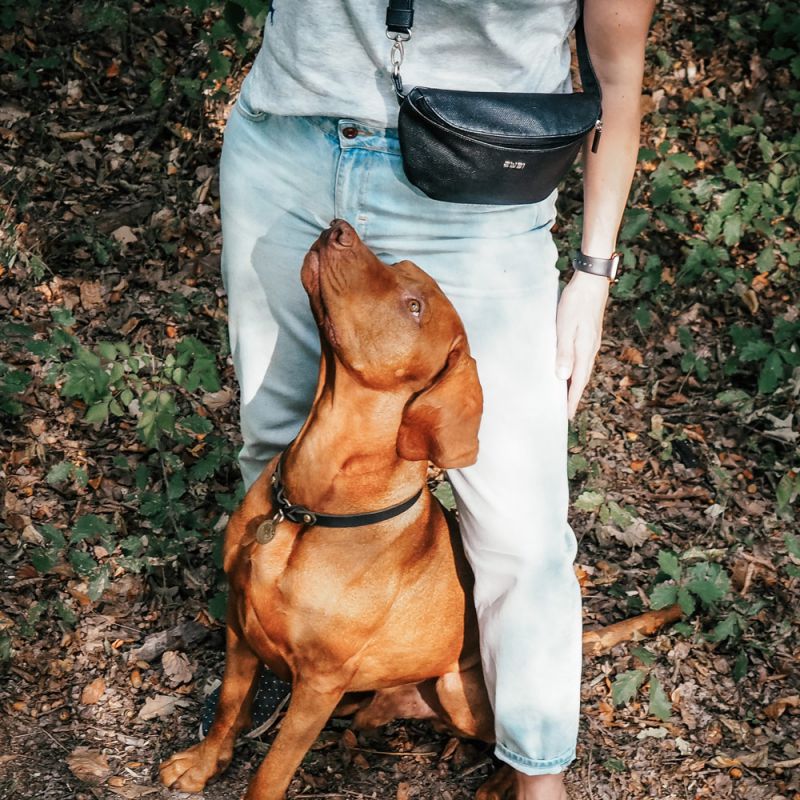 ZWEI MH4 – kdykoli a kamkoli